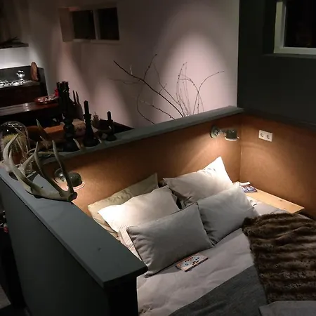 住宿加早餐酒店 De Berkenhoeck 阿帕多恩